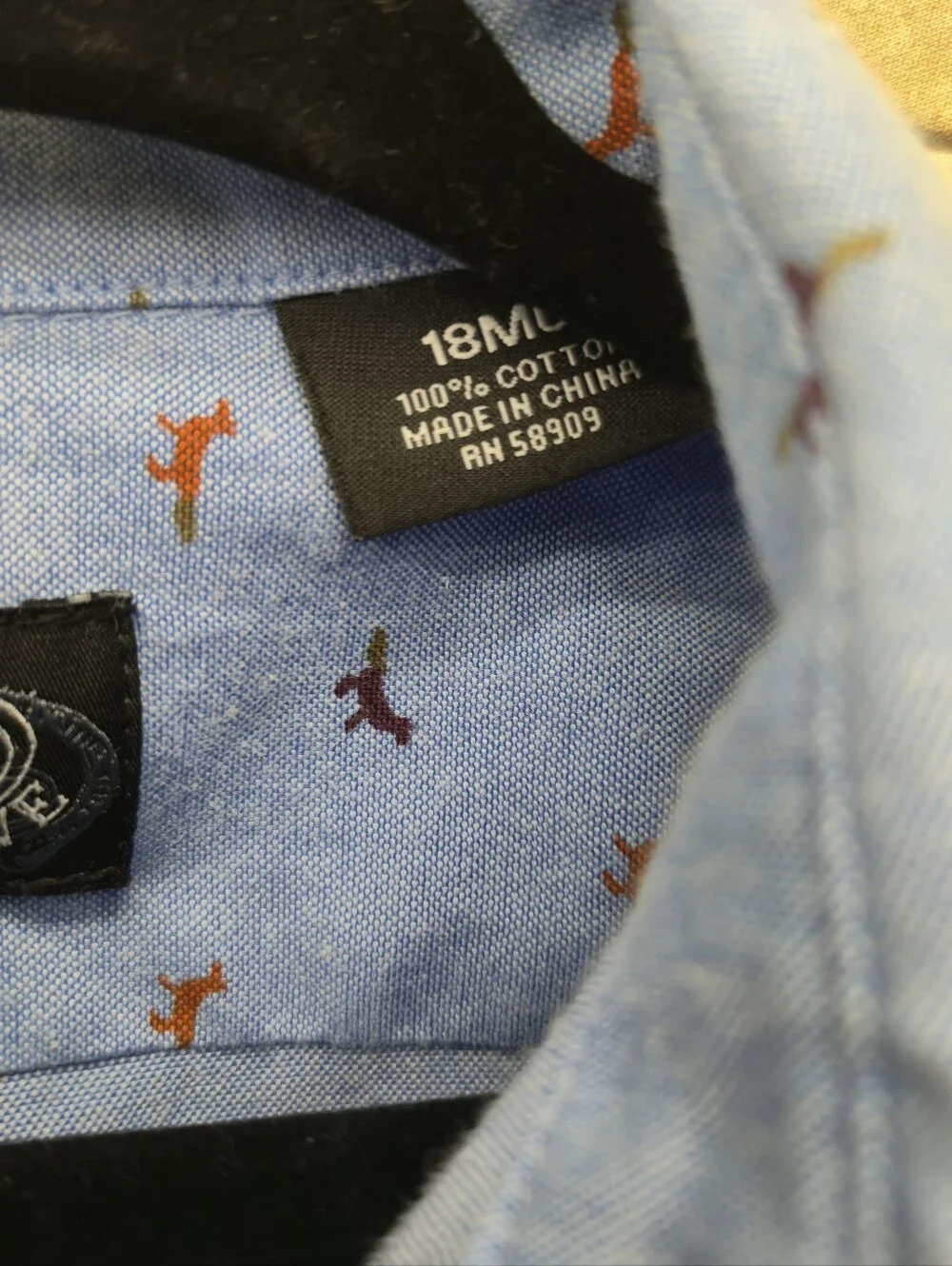 First Wave Boys Button Down Foxes